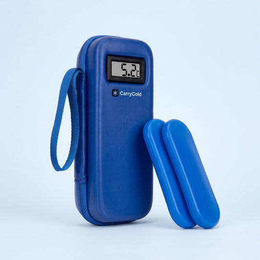Thermo travel case with ice packs